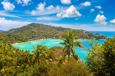 Palmiye ağacı ve Tayland 'daki Koh Tao adasının panoramik hava manzarası