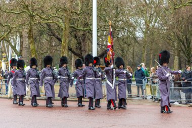 Londra, İngiltere - 31 Ocak 2025: Gri kışlık üniformalı ve ayı postu şapkalı İngiliz Kraliyet Muhafızları Buckingham Sarayı yakınlarındaki Muhafız Değişimi sırasında tüfekler ve bir alay bayrağı ile yürüdüler