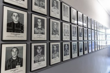 OSWIECIM, POLAND - 7 Eylül 2022: güneşli bir günde Auschwitz toplama kampındaki mahkumların fotoğraf galerisi, Oswiecim, Polonya