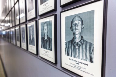 OSWIECIM, POLAND - 7 Eylül 2022: güneşli bir günde Auschwitz toplama kampındaki mahkumların fotoğraf galerisi, Oswiecim, Polonya