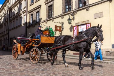 VARŞAN, POLAND 19 Eylül 2022: güneşli bir günde, Polonya 'nın Varşova kentinde antika bir at arabası