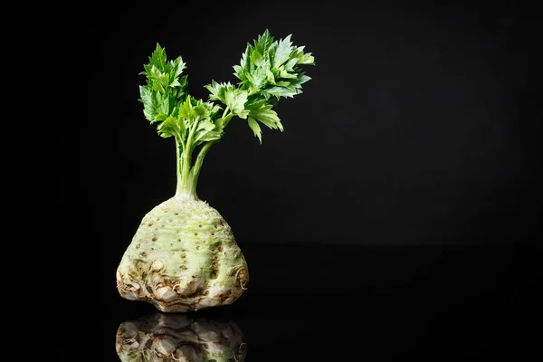 Čerstvý Celer Kořen Pořízen Zelení Černém Pozadí Výživa Zdravá Výživa — Stock fotografie