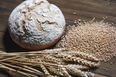 Fresh baked wheat bread loaf, a ghandful of wheat grain and wheat ears on a dark brown wooden background. Food security and provision concept. 