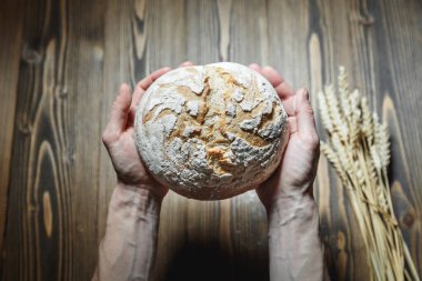 Male hands holding fresh baked bread loaf over wood background. Food provision concept. Agriculrural production