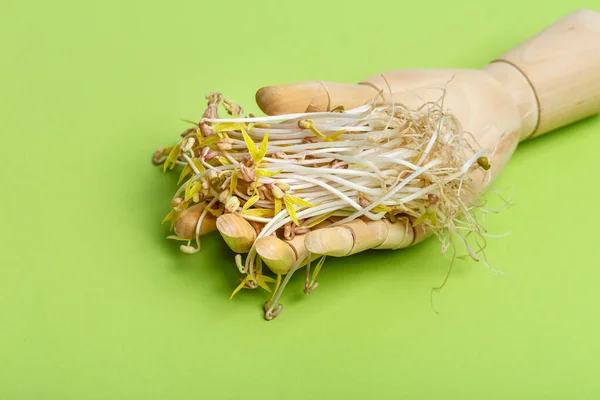Ξύλινο Χέρι Κρατώντας Φυτρώσει Φασόλια Mung Ένα Πράσινο Φόντο Μικροπράσινο — Φωτογραφία Αρχείου