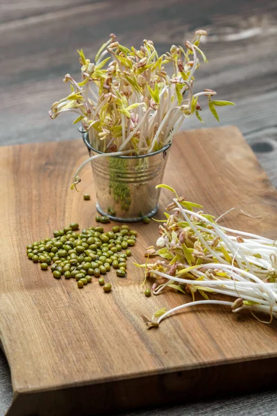 玩具金属桶与发芽的绿豆和绿色的门牙在木制的背景 微绿色蔬菜健康食品概念 — 图库照片