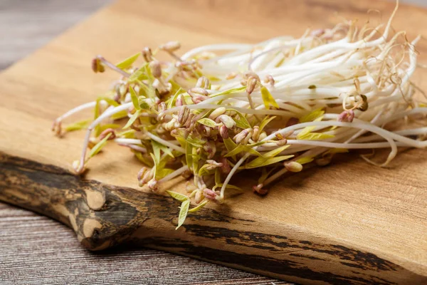 木製の背景に豆の発芽 マイクログリーンとビーガン健康食品の概念 — ストック写真