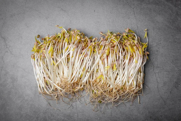 Sprouted Mung Beans Gray Background Micro Green Vegan Healthy Food — Stock Photo, Image