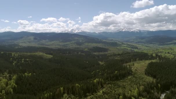 在乌克兰 Yablunivskiy剧院拍摄的喀尔巴阡山森林的空中镜头 可以俯瞰Hoverla和Pip Ivan山的地平线 乌克兰的旅游目的地 — 图库视频影像