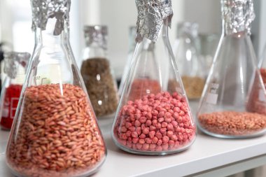 Cam test tüpünde öğütülmüş ve işlenmiş tahıl örnekleri