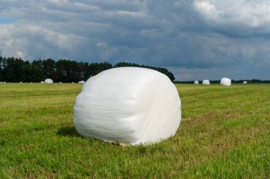 Plastik bir filme bantlanmış saman balyaları. Silage, fermantasyonu desteklemek için hava geçirmez bir mühür kullanan ve tarımda uzun vadeli depolama için yemi muhafaza eden bir süreç.