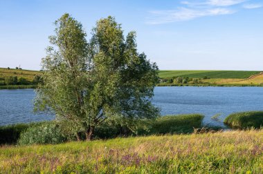 manzara, doğa, orta Ukrayna, göl ve tarlalar