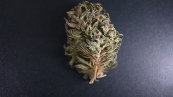 Cannabisknoppen Close Roteren Geïsoleerde Zwarte Achtergrond — Stockvideo