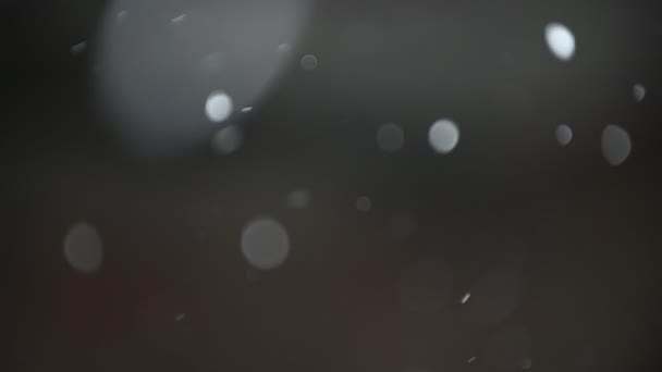 Blurred Snowflakes Fall Winter — Stock videók