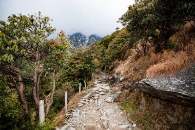 trekking in the mountains trek in the Himalayas, trail route