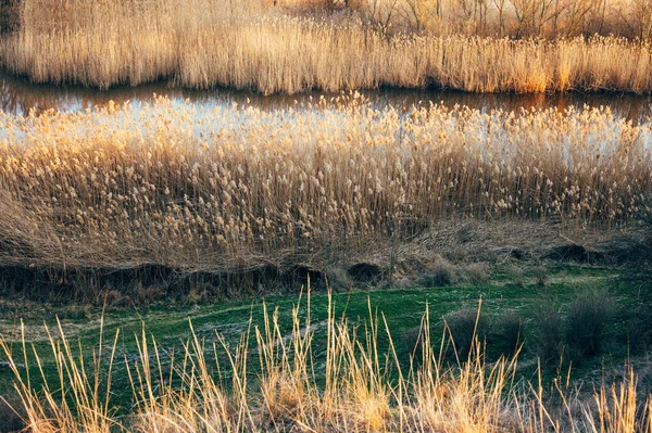 春に川による釣りや狩猟の風景 — ストック写真