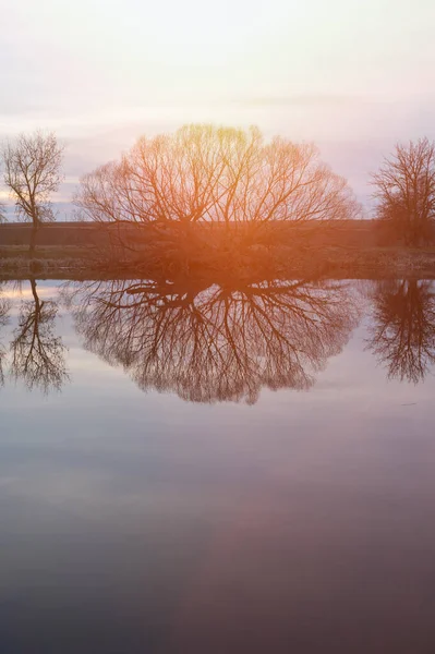 Vårlandskap Tidigt Våren Flod Träd Utan Blad Reflektion Vattnet — Stockfoto