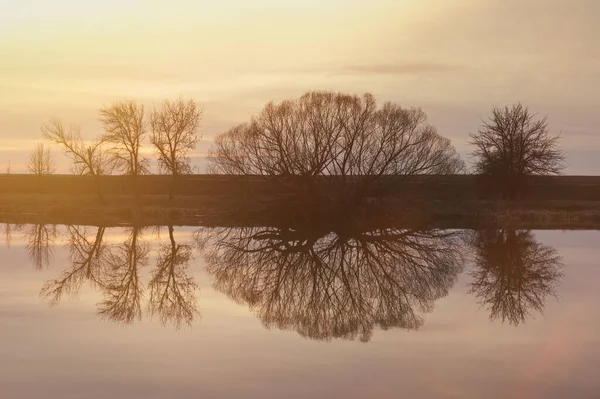 Весняний Пейзаж Ранньої Весни Річка Дерева Листя Відображення Воді — стокове фото