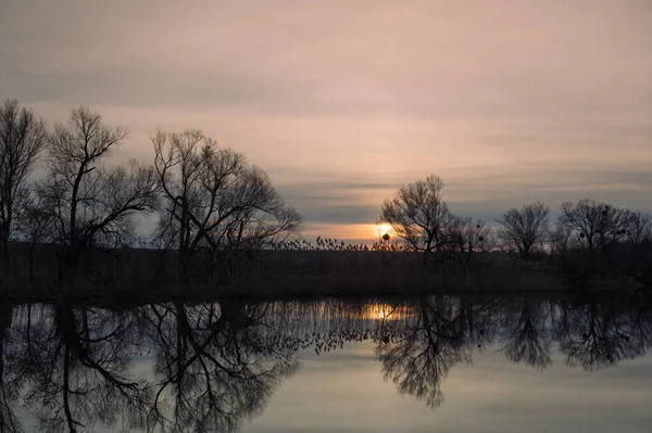 落日时没有树叶的园林绿化树 在冷水中反射着早春的气息 — 图库照片
