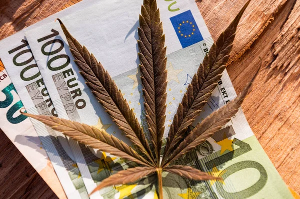 Деньги Марихуана Концепция Бизнеса Медицины Продажи Конопли Наркотиков Евро — стоковое фото