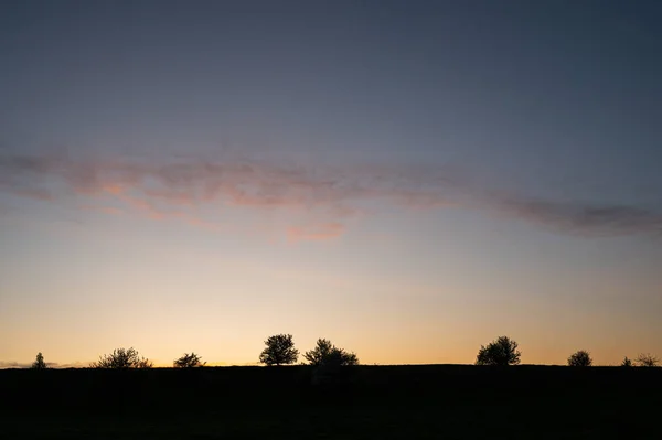 夕阳西下的自然天空 地平线和树木 — 图库照片
