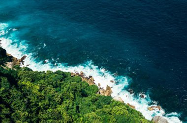 Deniz manzaralı bir fotoğraf, ağaçlı kayalar, yukarıdan çekilmiş bir fotoğraf.