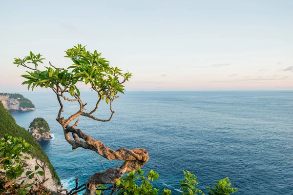Vacker Utsikt Över Havet Landskap Tapet Sommar — Stockfoto