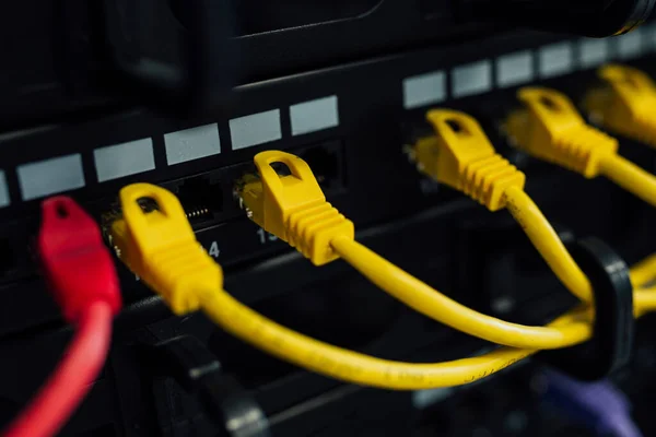 Servidor Cables Conexión Conmutan Administrador Base Datos Red —  Fotos de Stock