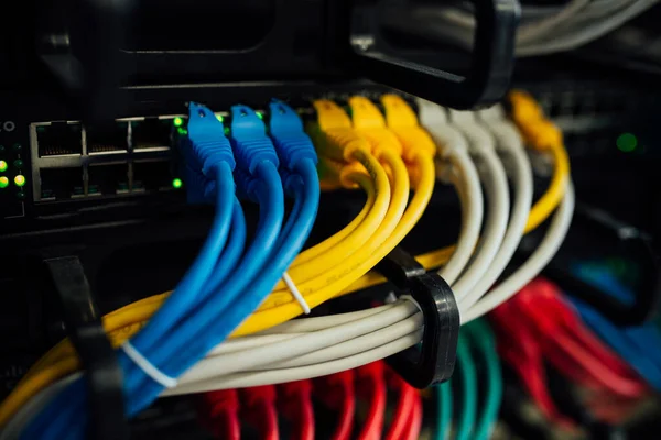 Cables Comunicación Del Servidor Cables Coloridos —  Fotos de Stock