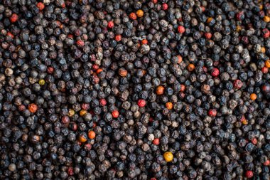 Kara Biber Taneleri Baharat Bir Arkaplan Olarak, Tellicherry