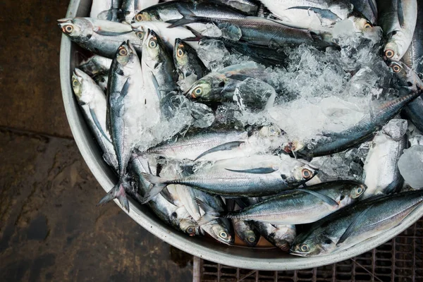新鲜海鱼与冰新鲜捕获的海鱼市场 — 图库照片