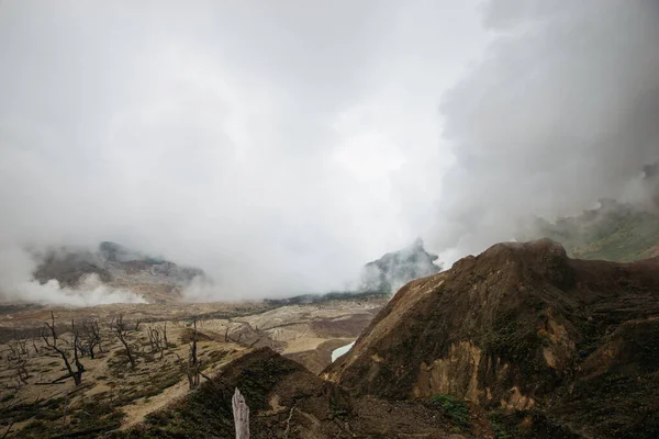 Paisaje Volcánico Volcán Activo Indonesia Bosque Muerto Después Erupción —  Fotos de Stock