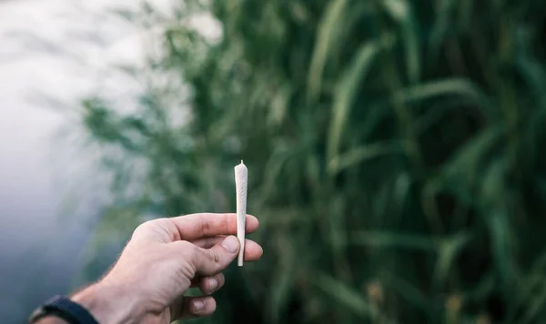Κρατώντας Χόρτο Κάνναβης Joint Στο Χέρι Έννοια Καπνίσματος Μαριχουάνας — Φωτογραφία Αρχείου