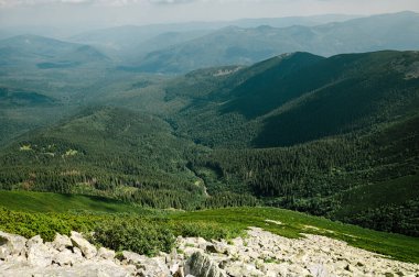 Karpat dağları orman ve taşlarla kaplı.