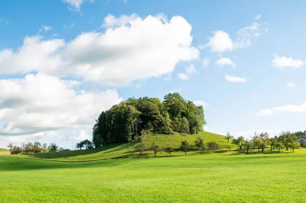 landscape with green pastures and the relief and nature of the lands of Bavaria