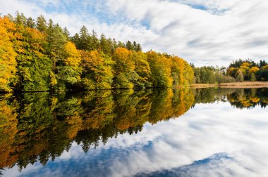 Göl Resmine Yansıyan Sonbahar Ağaçları. Göle yansıyan renkli sonbahar ağaçlarının manzarası