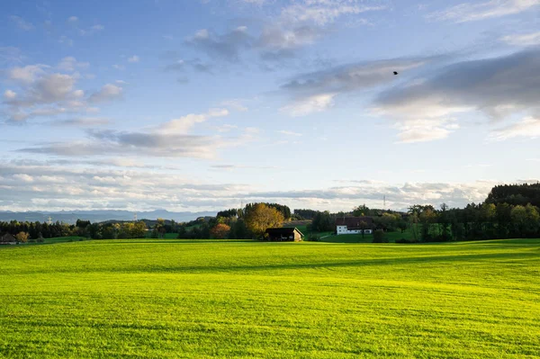 Grüne Wiesen Schöne Landschaft Mit Hügeln Süddeutschland Bayern — Stockfoto