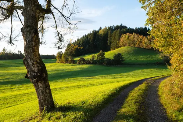 Pastizales Verdes Hermoso Paisaje Con Colinas Otoño Sur Alemania Baviera —  Fotos de Stock