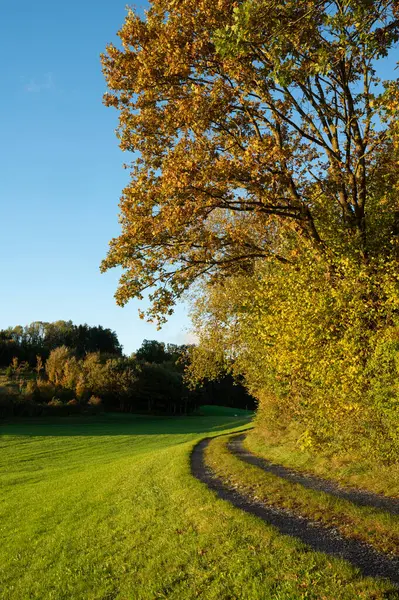 Germany Bavaria Autumn Lawn Land — Stock Photo, Image