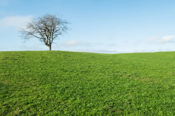 Velden Landschap Met Heuvels Natuur Hemel Horizon Weide Grasveld Platteland — Stockfoto