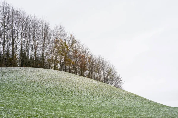 Erster Schnee Auf Dem Hügel Und Waldrand Schöne Landschaft — Stockfoto