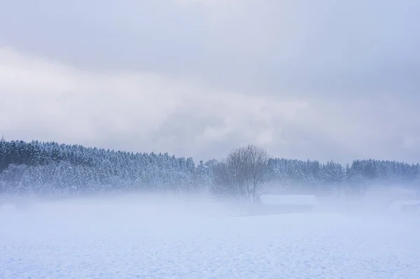 Mlhavé Zimní Ráno Venkově Krásná Krajina — Stock fotografie