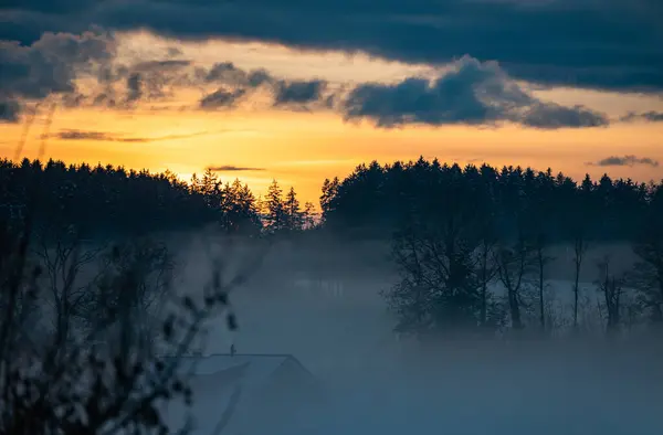 Bellissimo Tramonto Con Nebbia Silhouette Arborea Prima Neve — Foto Stock