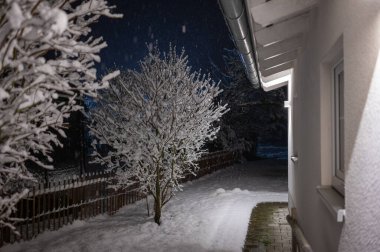  Kar yağışı ve evin bahçesi Karda gece ağacı