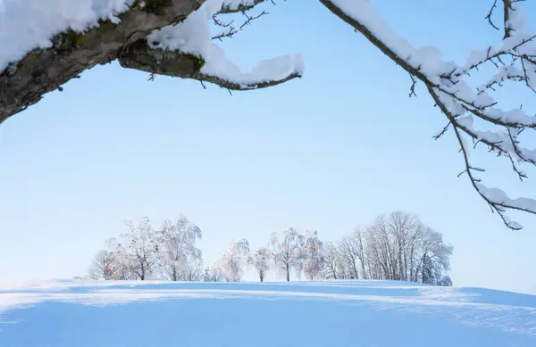 Krásná Zimní Krajina Polí Zamrzlé Stromy Sněhobílá — Stock fotografie