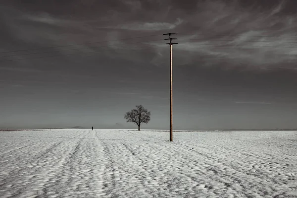 Einsamer Baum Minimalismus Schwarz Weiß Kunst Foto Landschaft Winter — Stockfoto