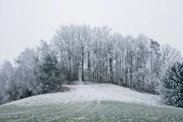 Alberi Gelo Foreste Tedesche Paesaggio Invernale — Foto Stock