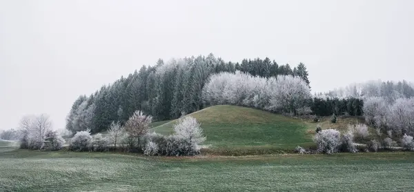 Frostpanorama Der Natur Deutschlands Eine Wunderschöne Einzigartige Landschaft Stockbild