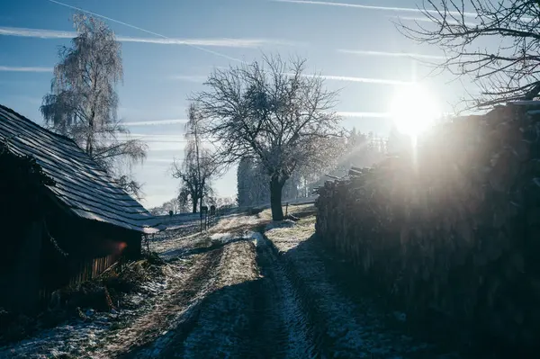 Paesaggio Una Fattoria Nelle Alpi Inverno Controluce — Foto Stock