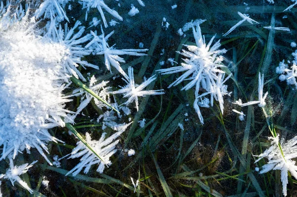 Красиві Кристали Льоду Фон Крупним Планом Деталі Природи Холодну Пору Стокове Зображення